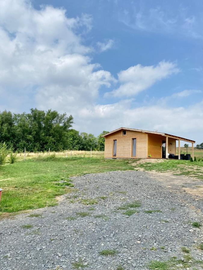Domek W Gorach Izerskich 4 I 6 Osobowy, Agroturystyka, Zywe Zwierzeta, W Pelni Wyposazone, Plac Zabaw Dla Dzieci, Ognisko Z Kijkami I Rusztem, Ogrzewanie I Klimatyzacja, Latem Basen Mirsk Esterno foto