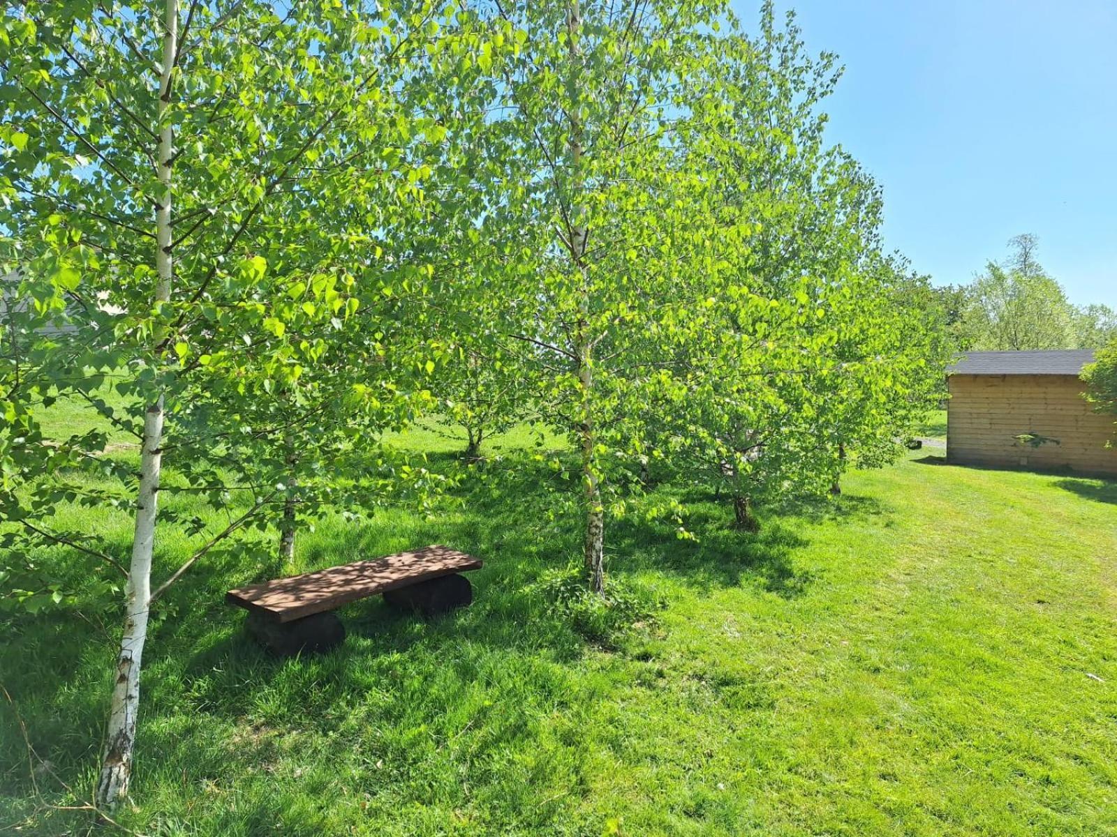 Domek W Gorach Izerskich 4 I 6 Osobowy, Agroturystyka, Zywe Zwierzeta, W Pelni Wyposazone, Plac Zabaw Dla Dzieci, Ognisko Z Kijkami I Rusztem, Ogrzewanie I Klimatyzacja, Latem Basen Mirsk Esterno foto